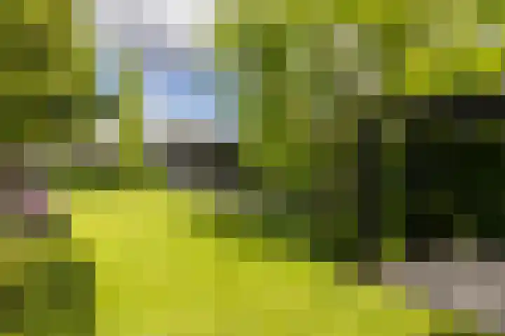 Noord Riezenweg 46 Uddel thumbnail 9