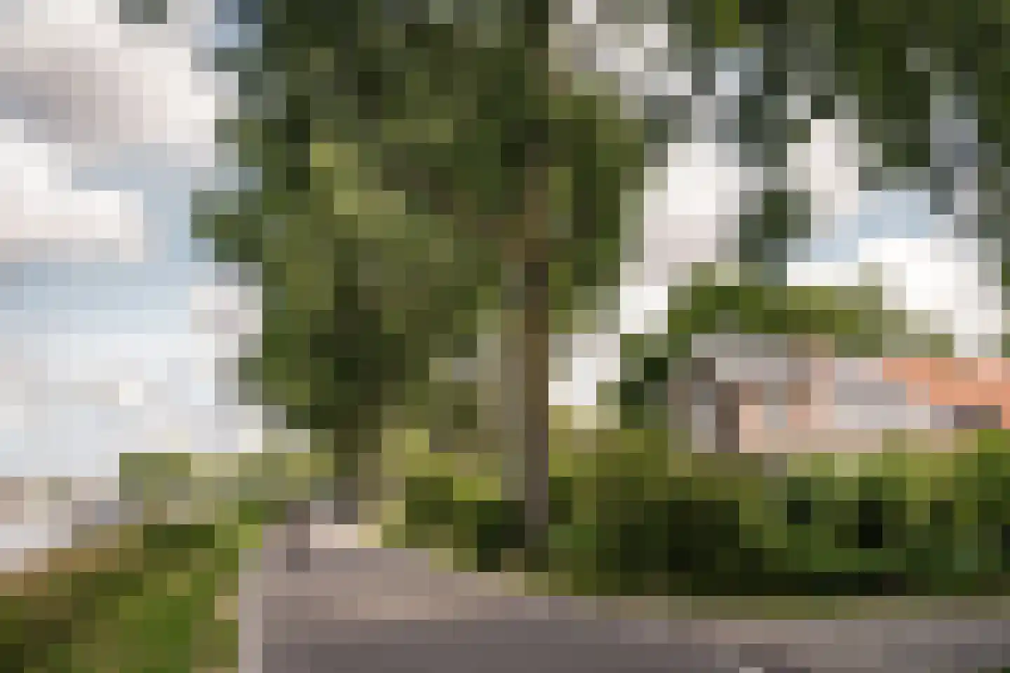 Noord Schalkwijkerweg 125 Haarlem thumbnail 72