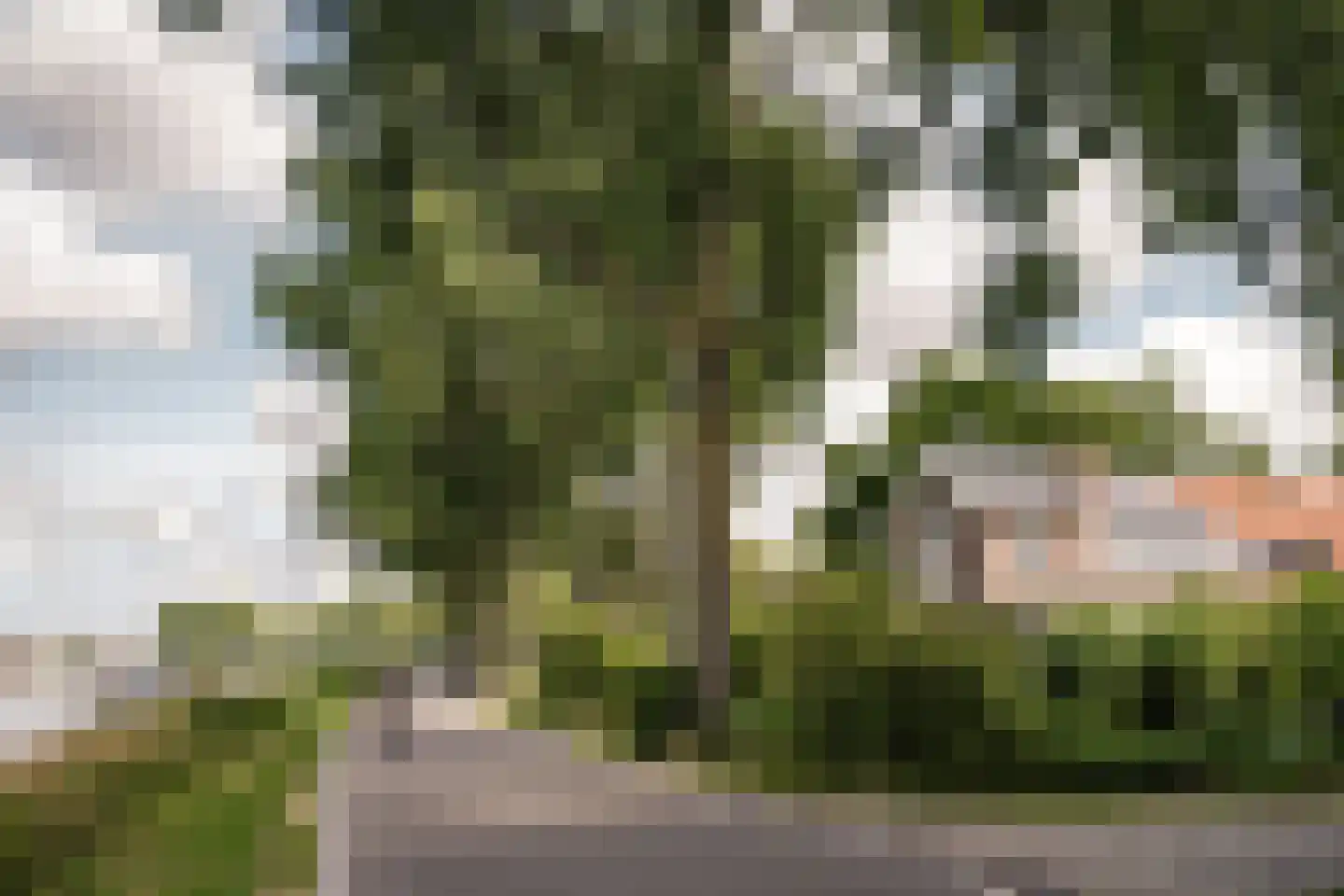 Noord Schalkwijkerweg 125 Haarlem thumbnail 72