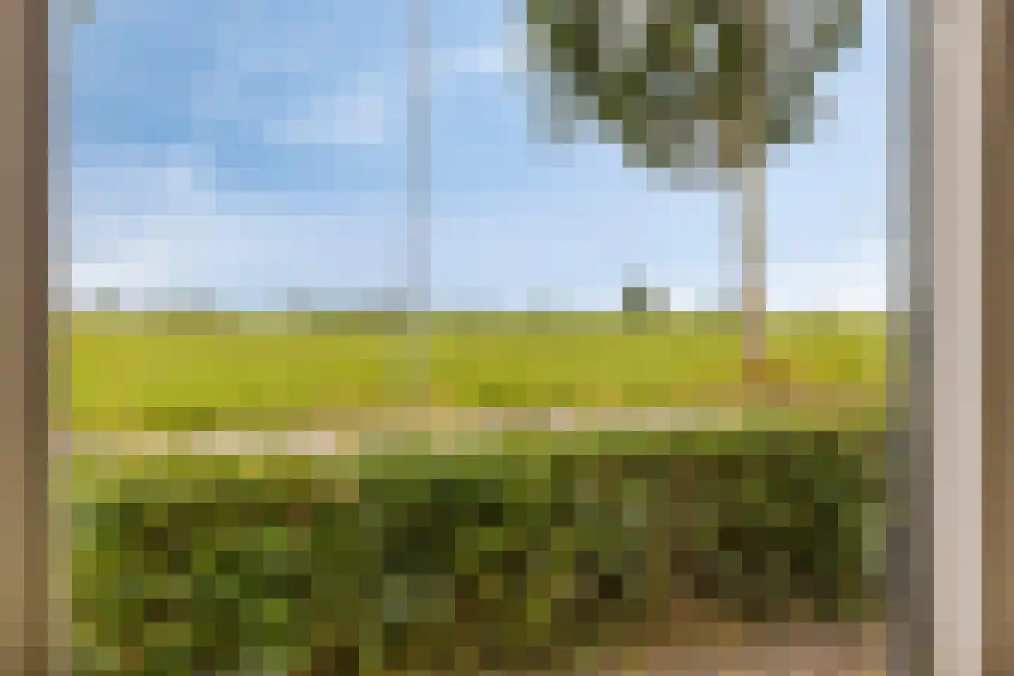 Noord-Spierdijkerweg 159 Spierdijk thumbnail 7