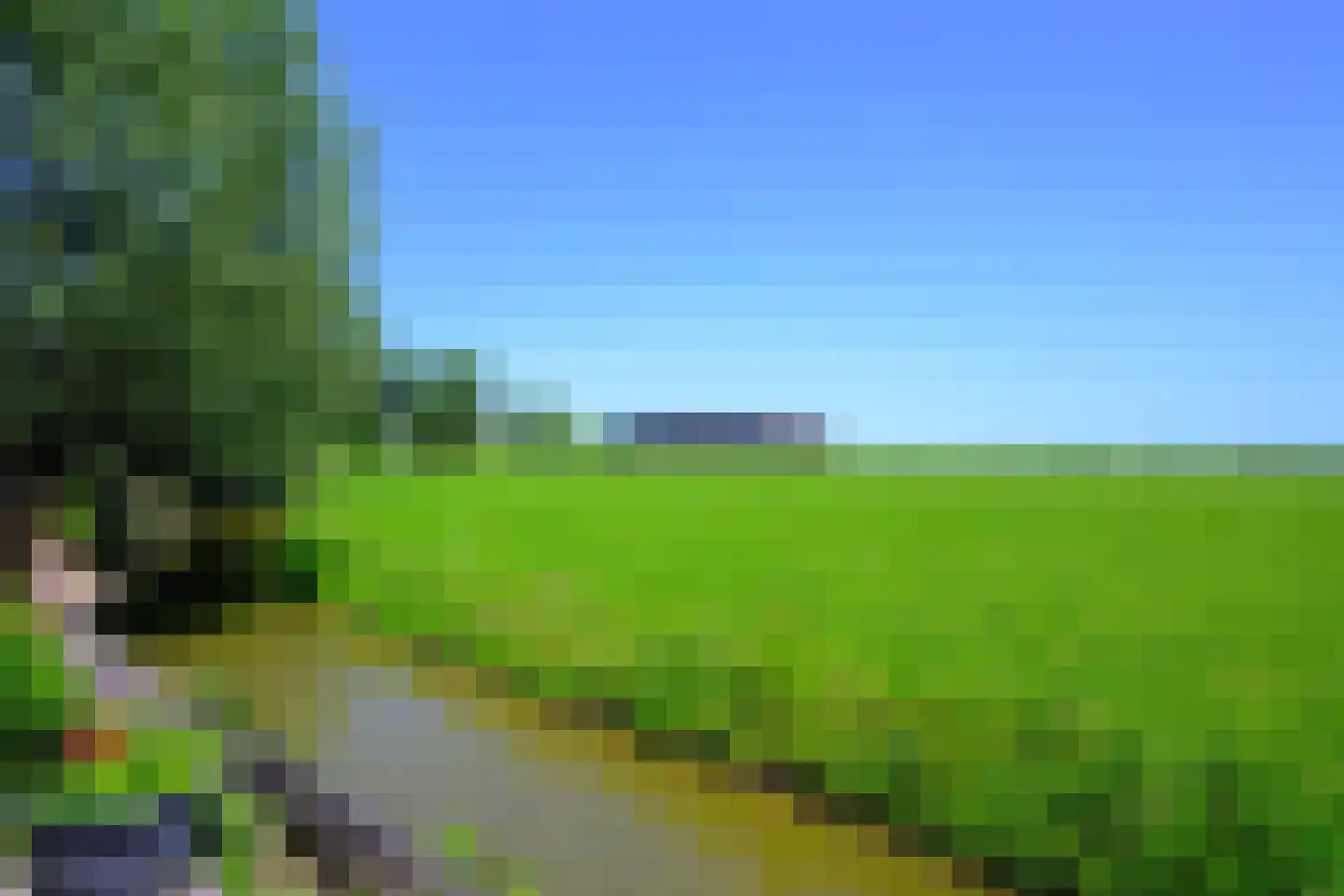 Noord-Spierdijkerweg 196 Spierdijk thumbnail 34