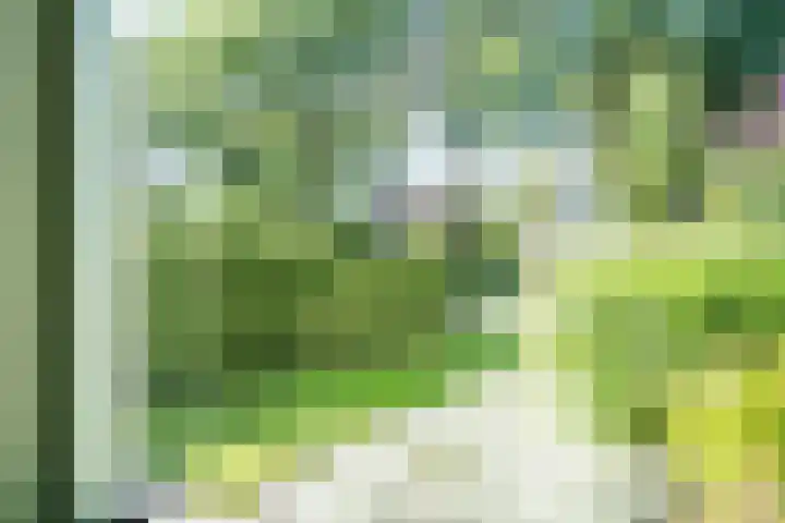 Noord Zijperweg 13 Wieringerwaard thumbnail 17