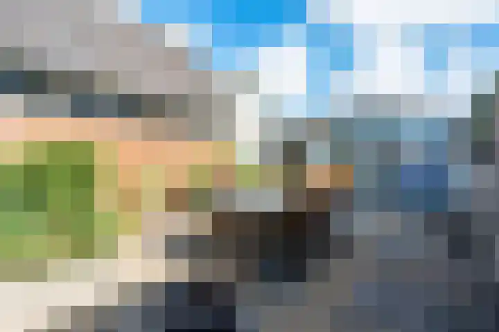 Noord Zijperweg 13 Wieringerwaard thumbnail 43
