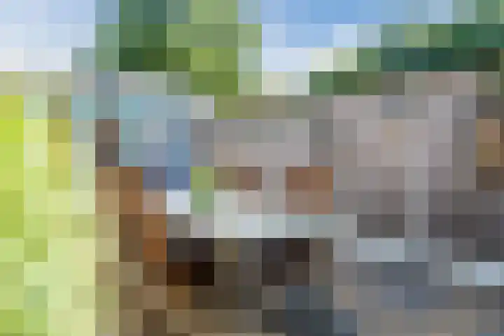 Noord Zijperweg 13 Wieringerwaard thumbnail 44