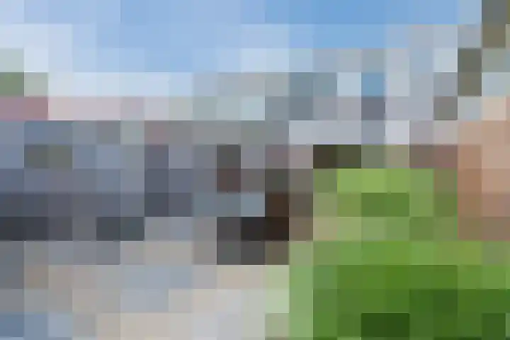 Noord Zijperweg 13 Wieringerwaard thumbnail 47