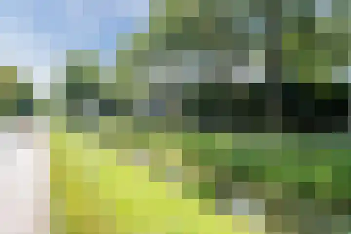 Noord Zijperweg 13 Wieringerwaard thumbnail 51