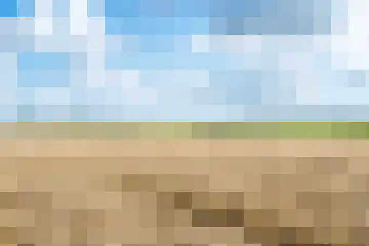 Noord Zijperweg 13 Wieringerwaard thumbnail 57