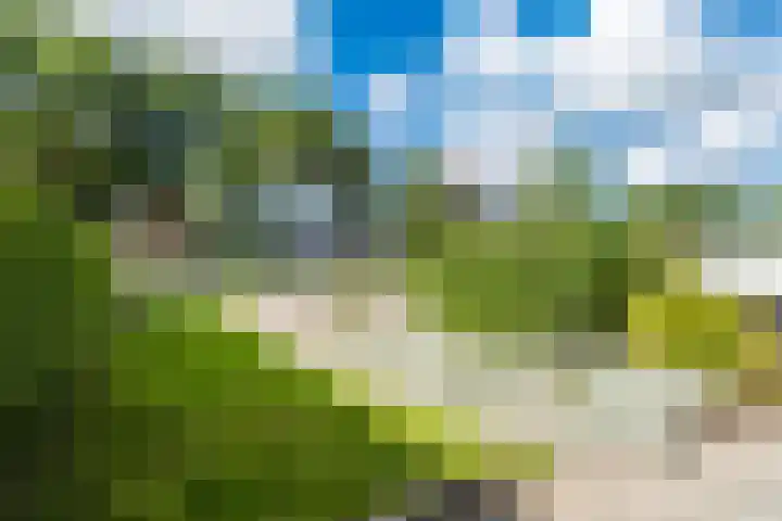 Noord Zijperweg 13 Wieringerwaard thumbnail 7
