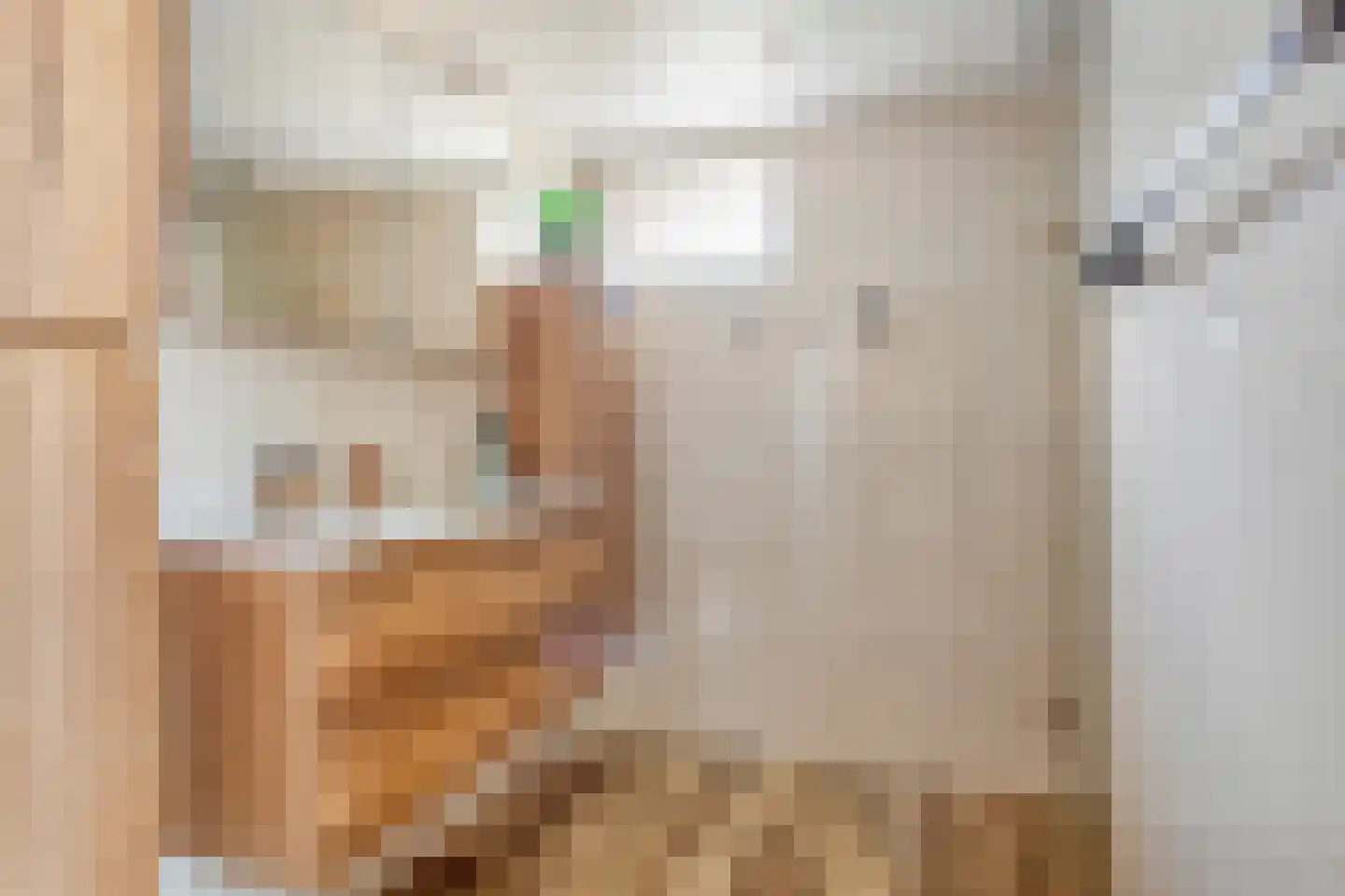 Noord Zijperweg 16 Wieringerwaard thumbnail 29