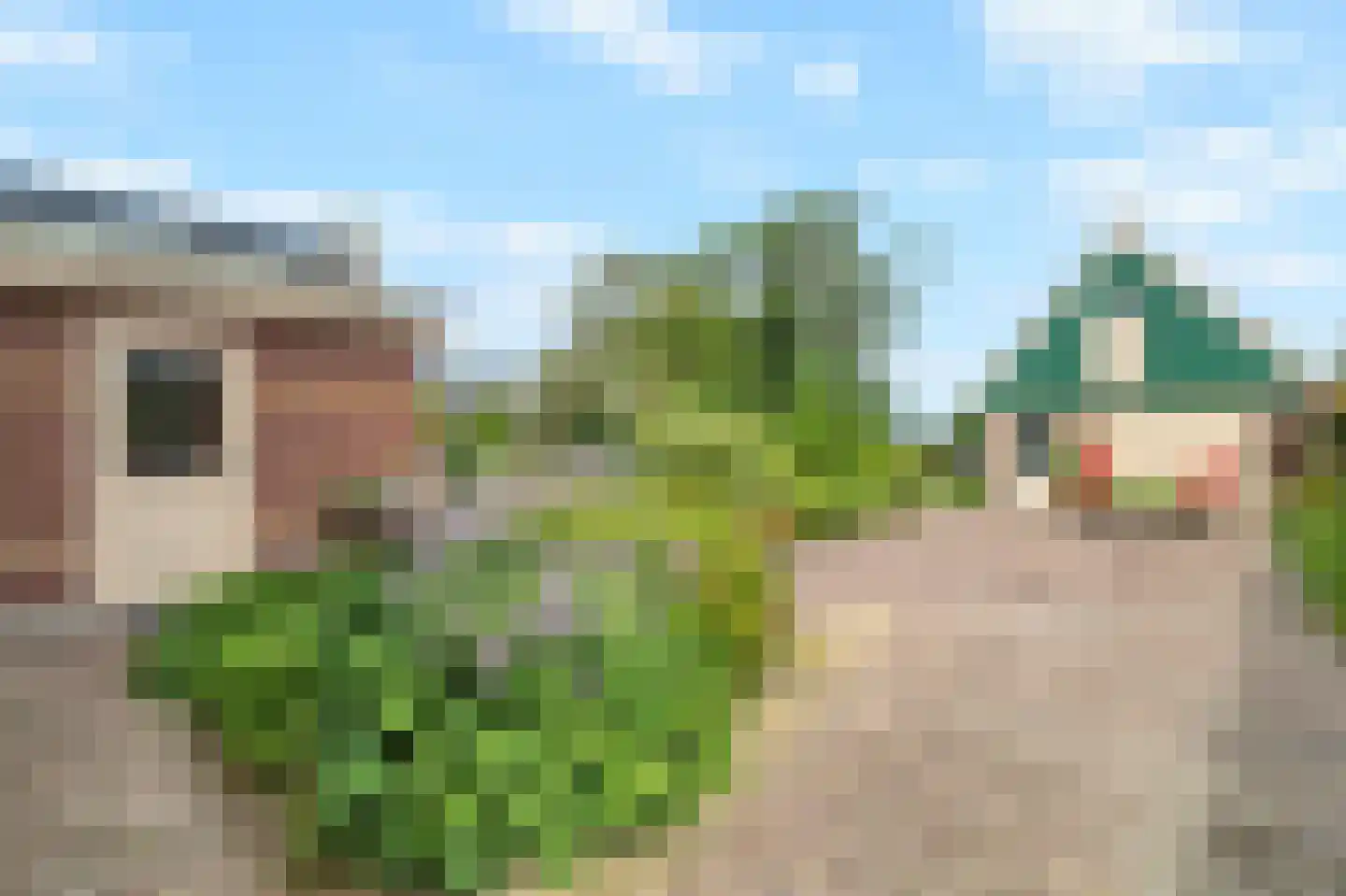 Noord Zijperweg 16 Wieringerwaard thumbnail 37
