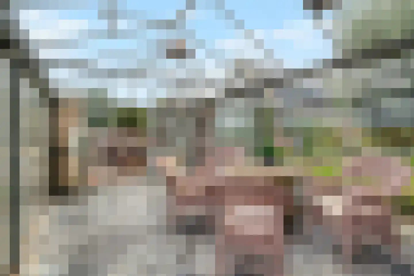 Noord Zijperweg 16 Wieringerwaard thumbnail 43