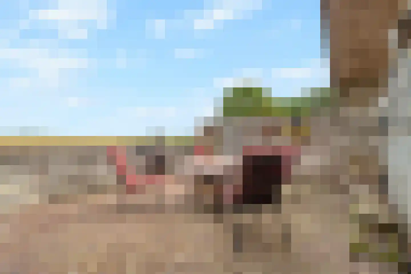 Noord Zijperweg 16 Wieringerwaard thumbnail 44