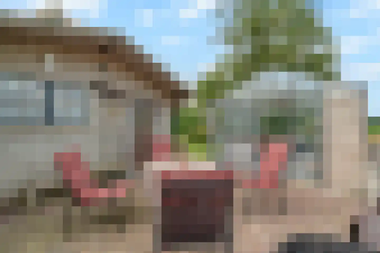 Noord Zijperweg 16 Wieringerwaard thumbnail 48