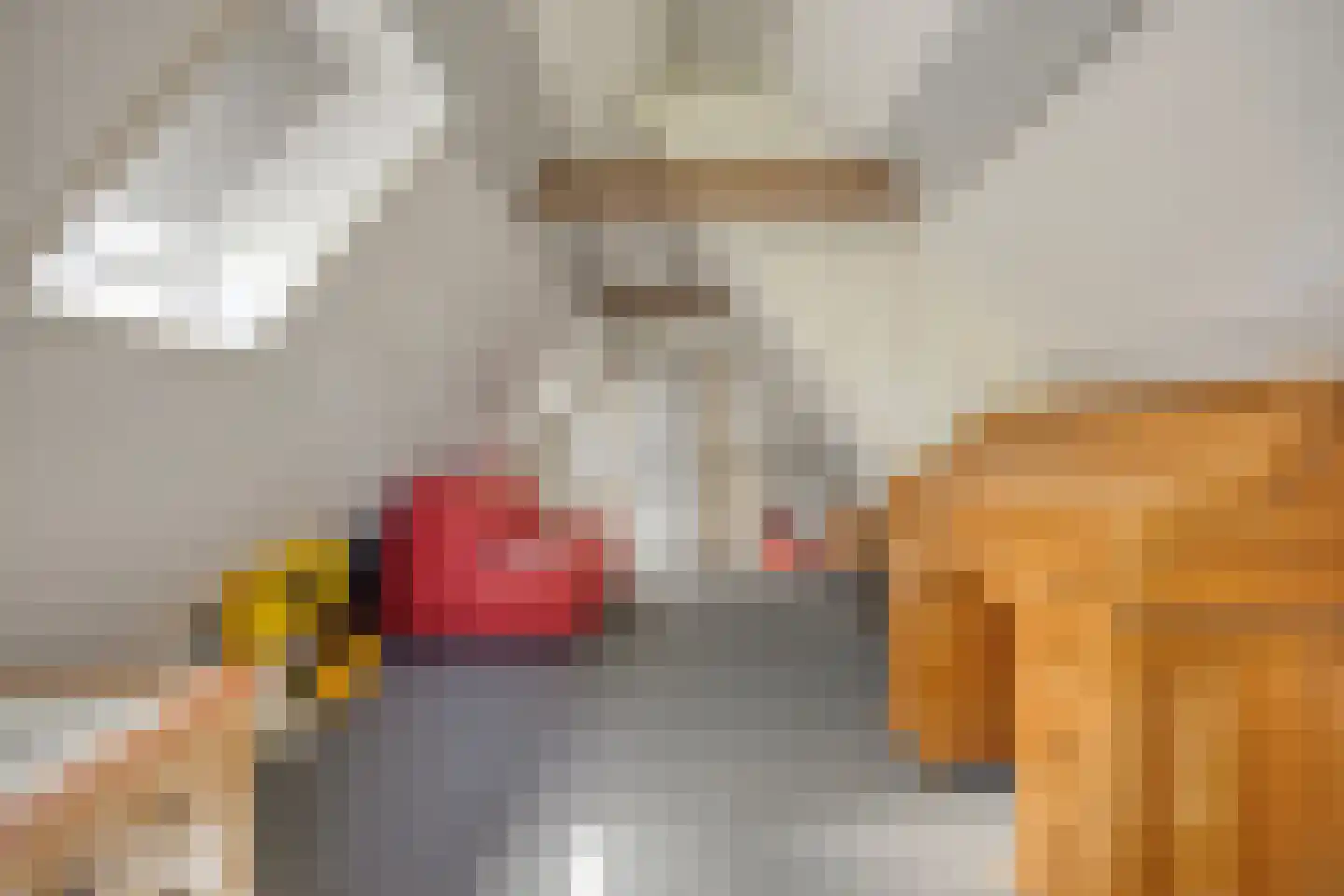 Noord Zijperweg 45 Wieringerwaard thumbnail 13