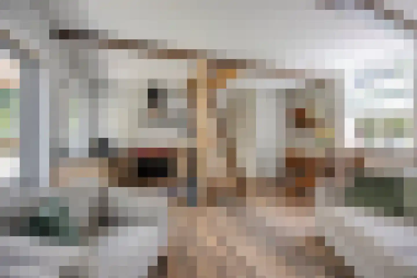 Noord Zijperweg 45 Wieringerwaard thumbnail 23