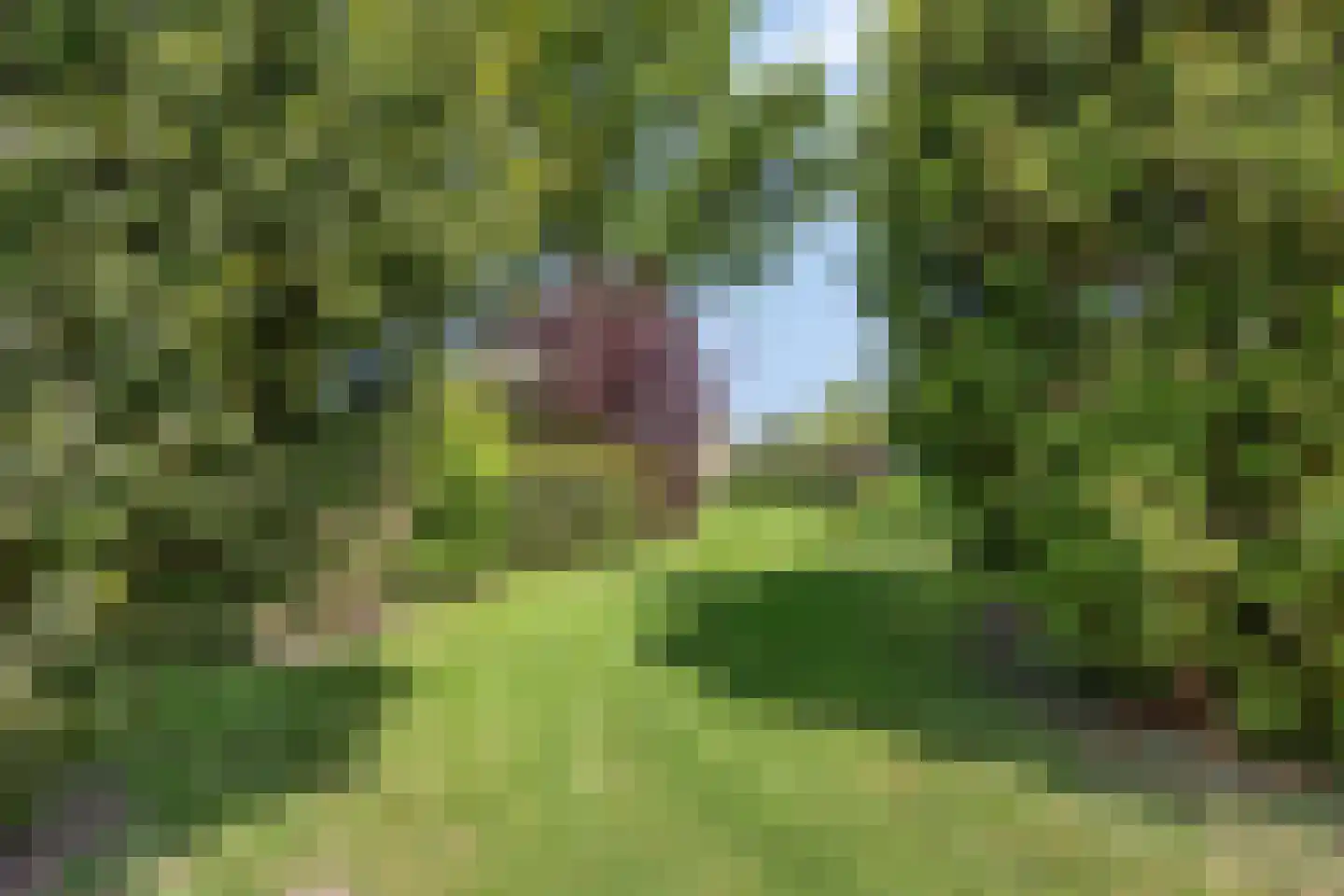 Noord Zijperweg 45 Wieringerwaard thumbnail 44