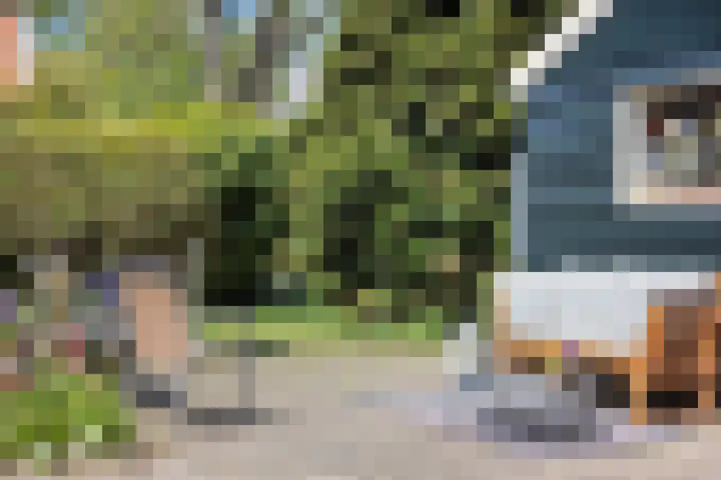 Noord Zijperweg 45 Wieringerwaard thumbnail 52