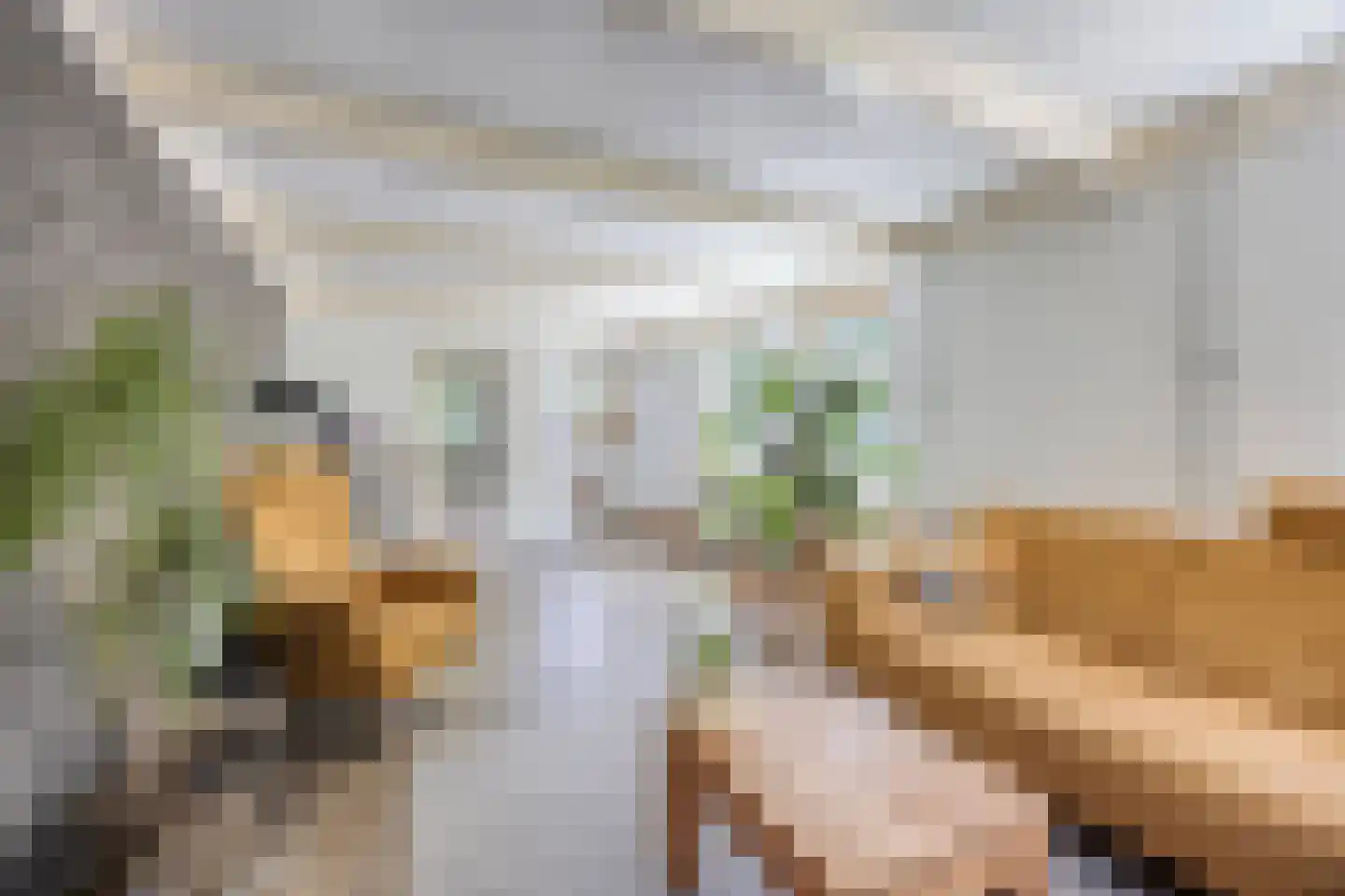 Noord Zijperweg 45 Wieringerwaard thumbnail 7