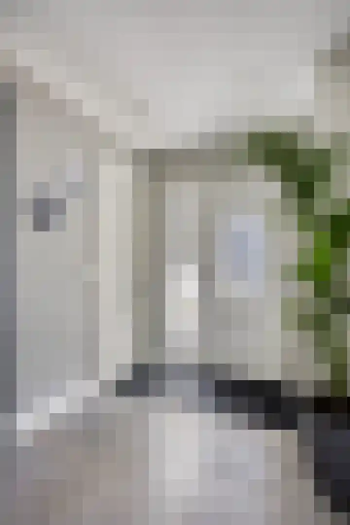 Noord Zijperweg 53 Wieringerwaard thumbnail 12