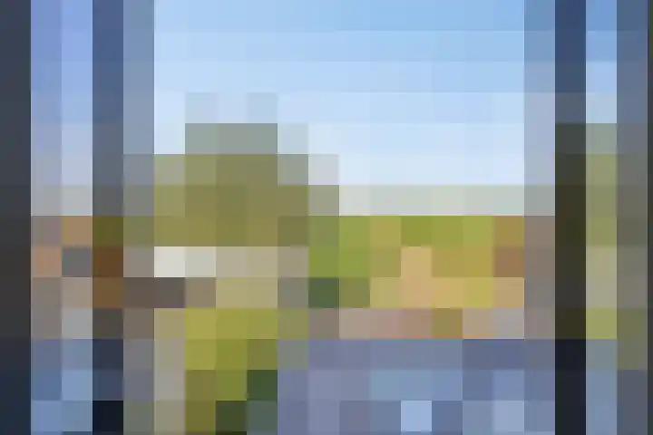 Noord Zijperweg 53 Wieringerwaard thumbnail 48