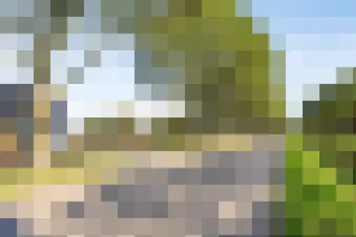 Noord Zijperweg 53 Wieringerwaard thumbnail 6