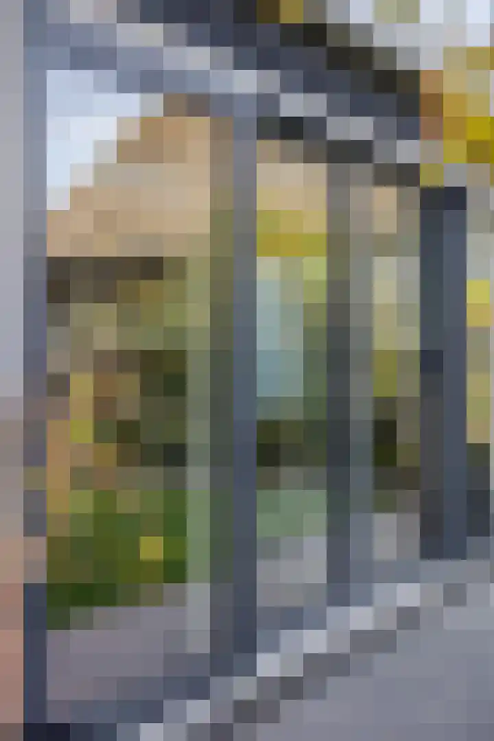 Noord Zijperweg 53 Wieringerwaard thumbnail 64