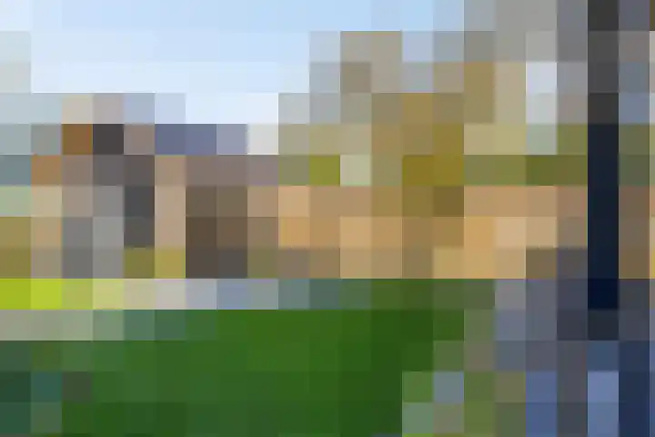 Noord Zijperweg 53 Wieringerwaard thumbnail 66