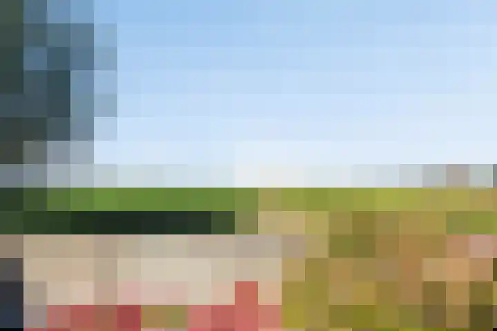 Noord Zijperweg 53 Wieringerwaard thumbnail 68