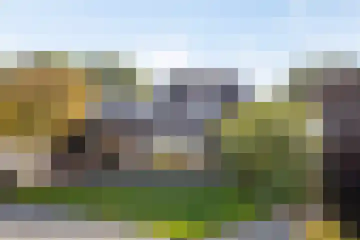 Noord Zijperweg 53 Wieringerwaard thumbnail 69