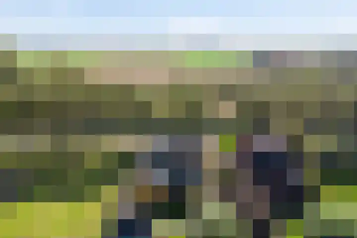 Noord Zijperweg 53 Wieringerwaard thumbnail 73
