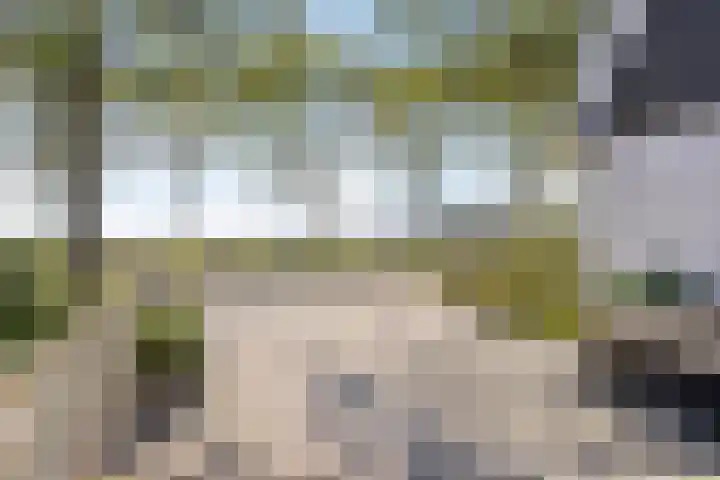 Noord Zijperweg 53 Wieringerwaard thumbnail 9