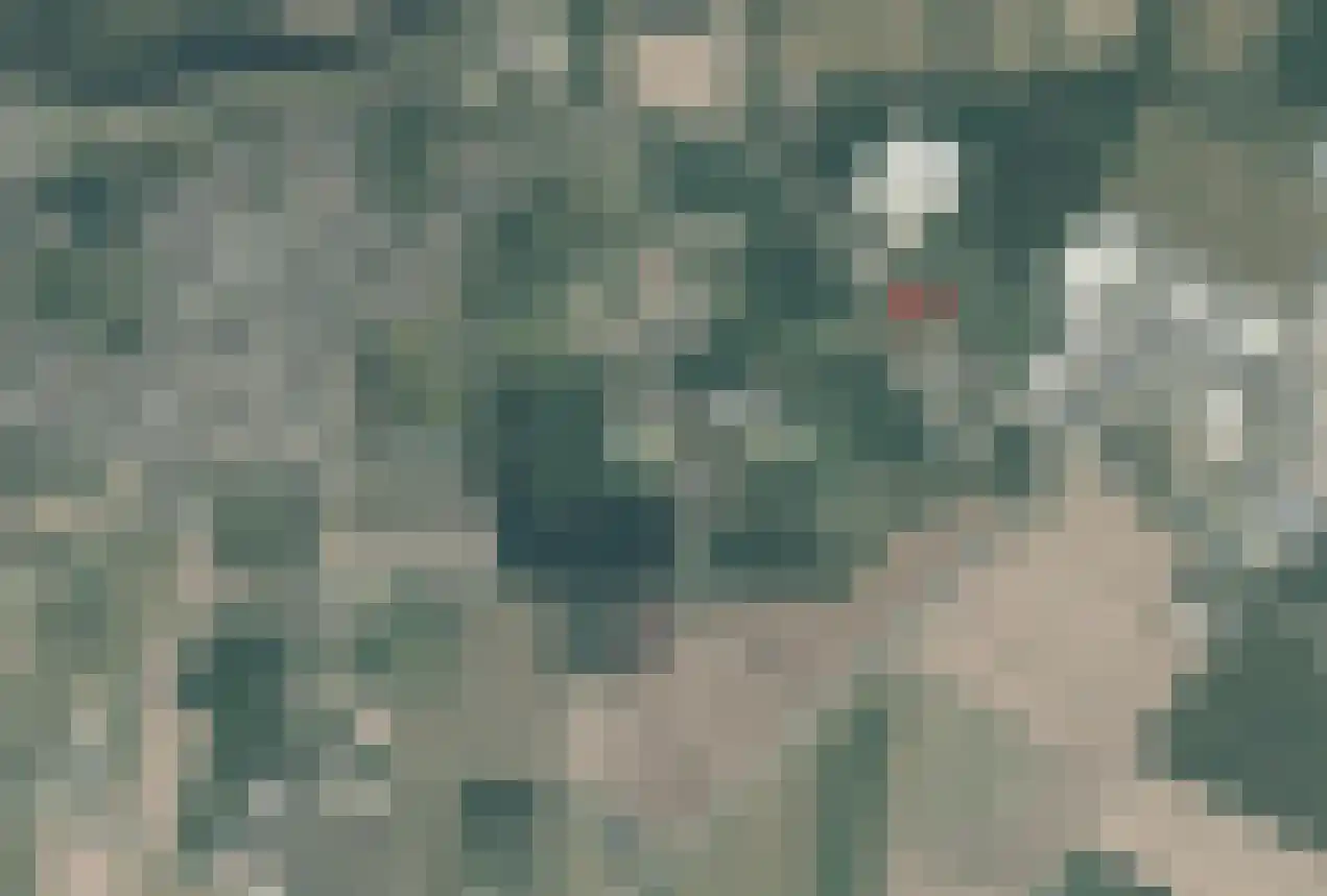 Noord Zuidweg 9 01 Boven-Leeuwen thumbnail 5