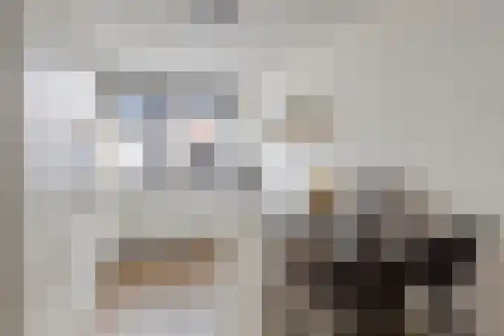 Noordakker 16 Roelofarendsveen thumbnail 10