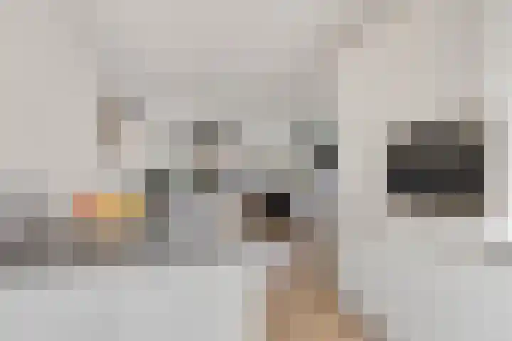 Noordakker 16 Roelofarendsveen thumbnail 11