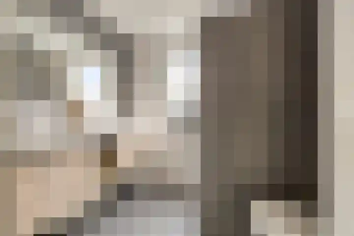 Noordakker 16 Roelofarendsveen thumbnail 14