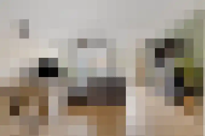 Noordakker 16 Roelofarendsveen thumbnail 5
