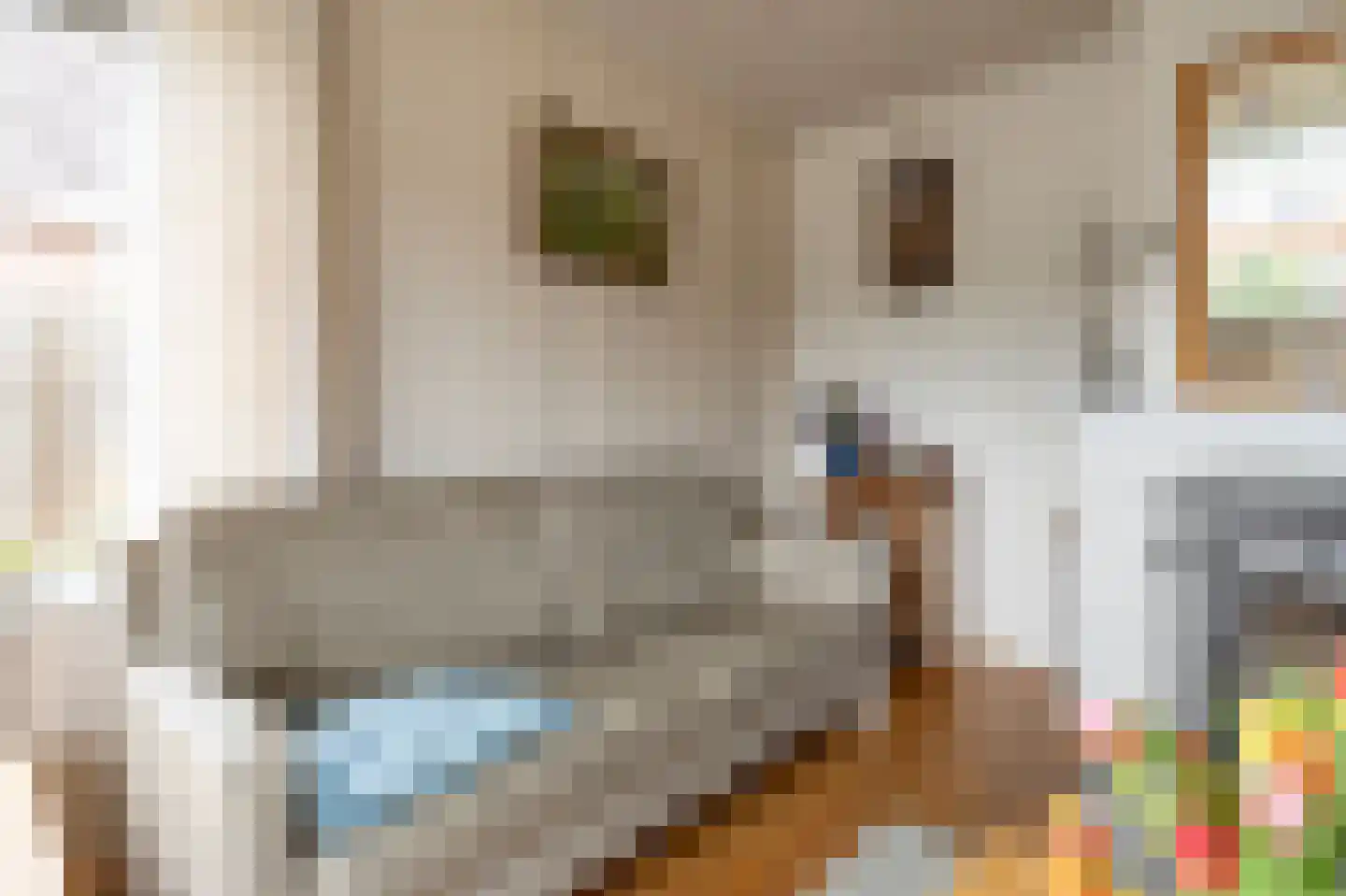 Noordbargerstraat 24 Emmen thumbnail 8