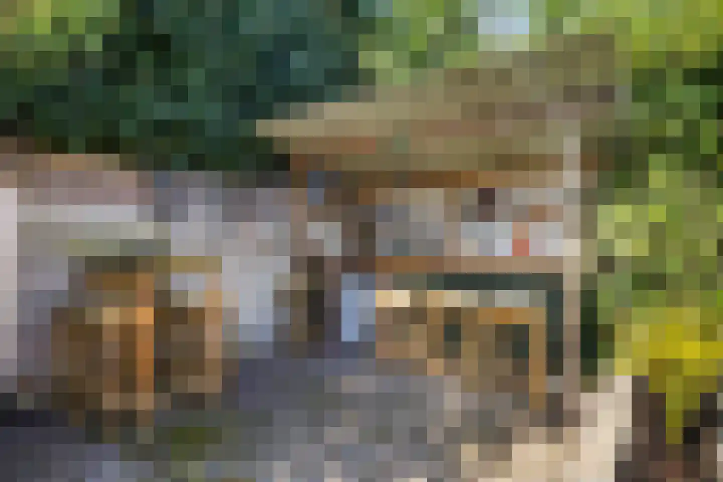 Noordbargerstraat 36 Emmen thumbnail 36