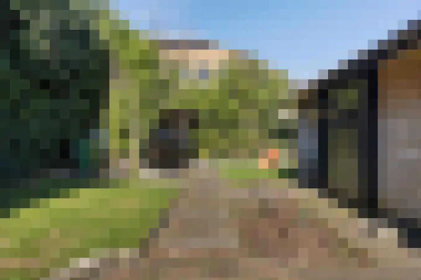 Noordbargerstraat 36 Emmen thumbnail 38