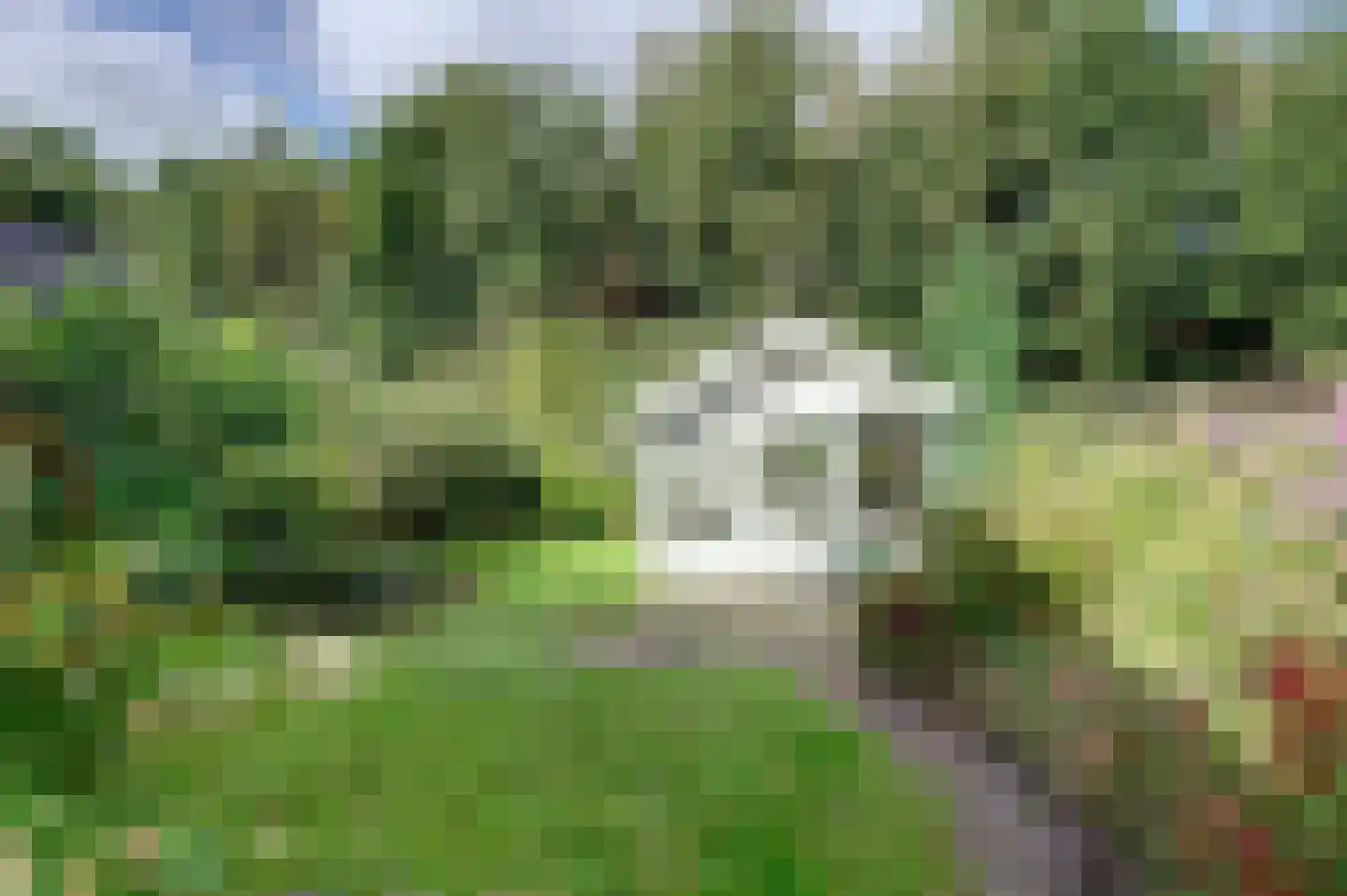 Noordbroeksterstraat 28 Sappemeer thumbnail 16