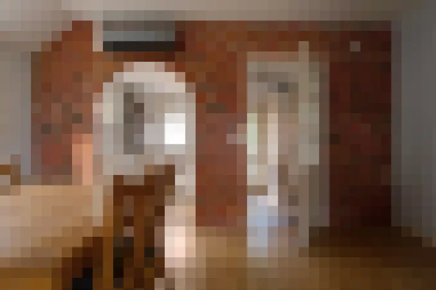 Noordbroeksterstraat 28 Sappemeer thumbnail 23