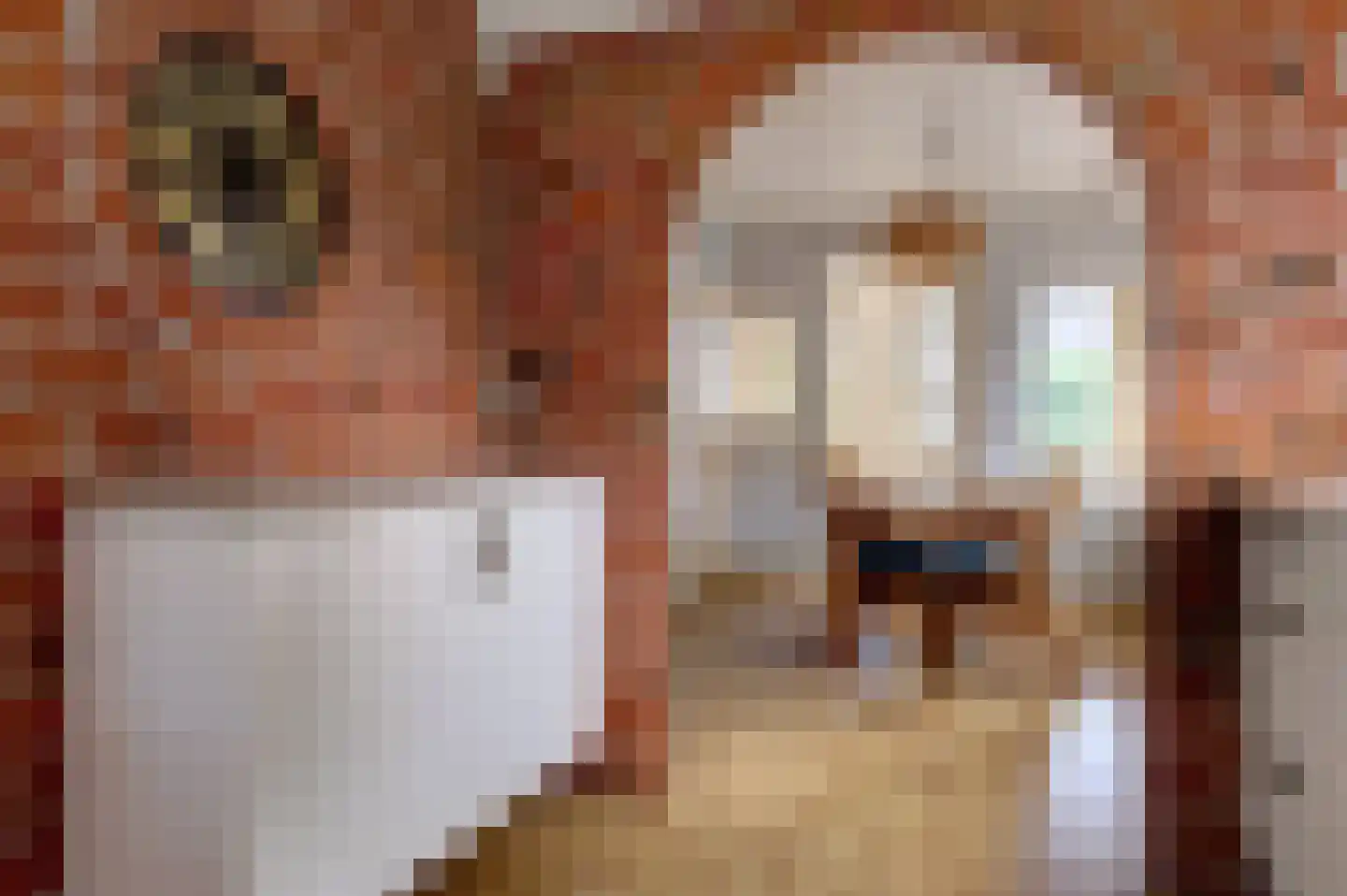 Noordbroeksterstraat 28 Sappemeer thumbnail 25