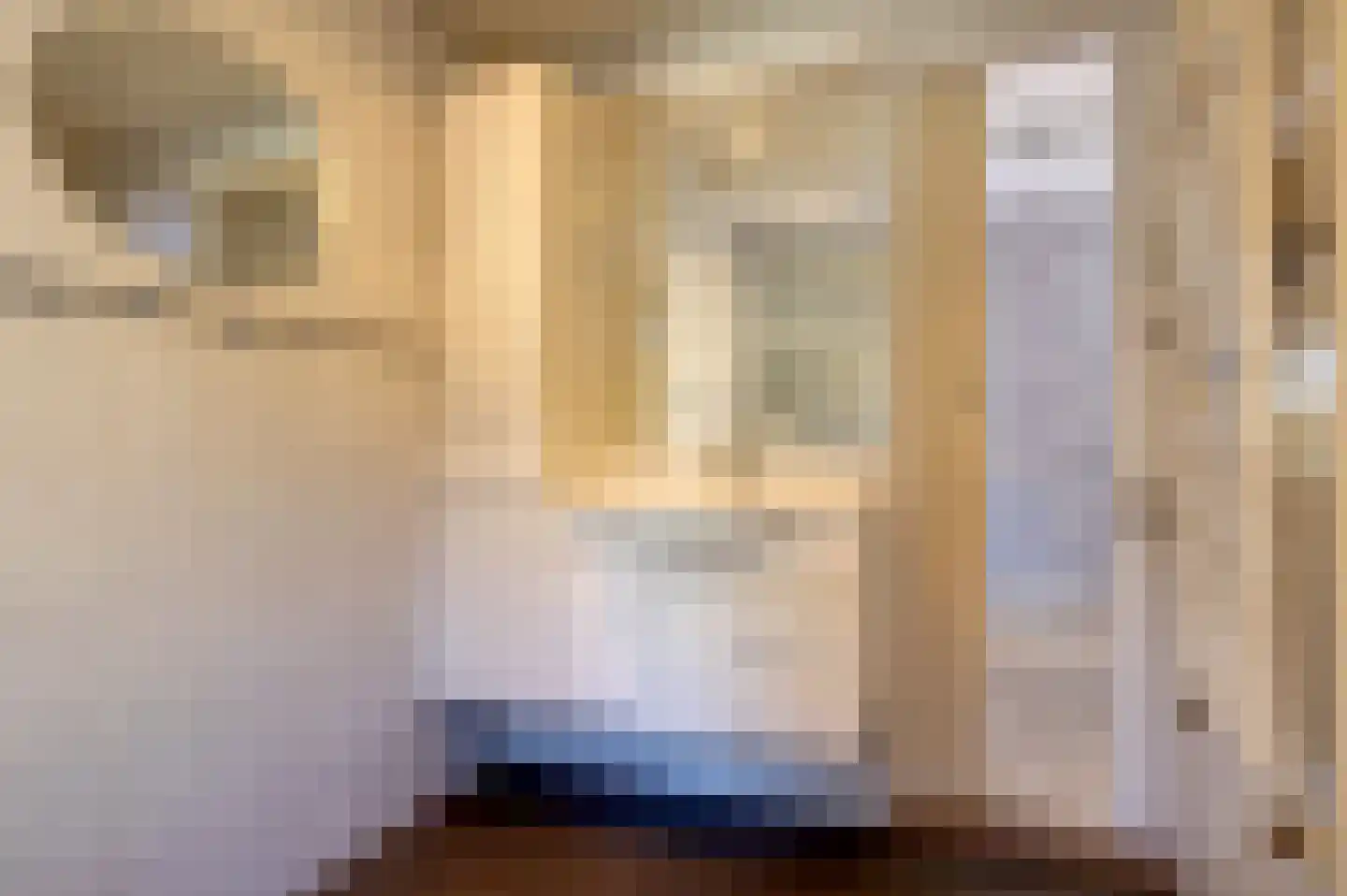 Noordbroeksterstraat 28 Sappemeer thumbnail 29