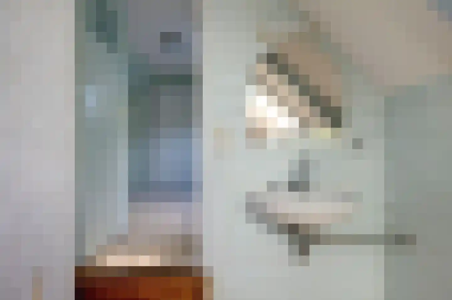 Noordbroeksterstraat 28 Sappemeer thumbnail 32
