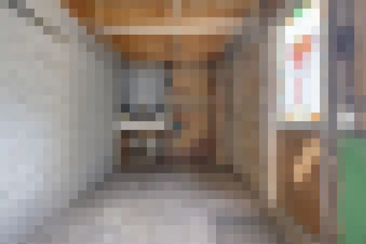 Noordbroeksterstraat 28 Sappemeer thumbnail 35