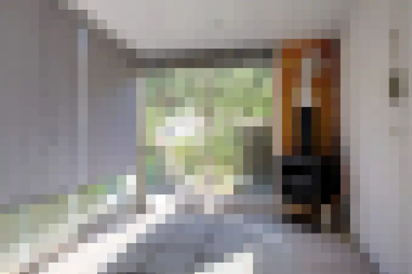 Noordbroeksterstraat 28 Sappemeer thumbnail 36