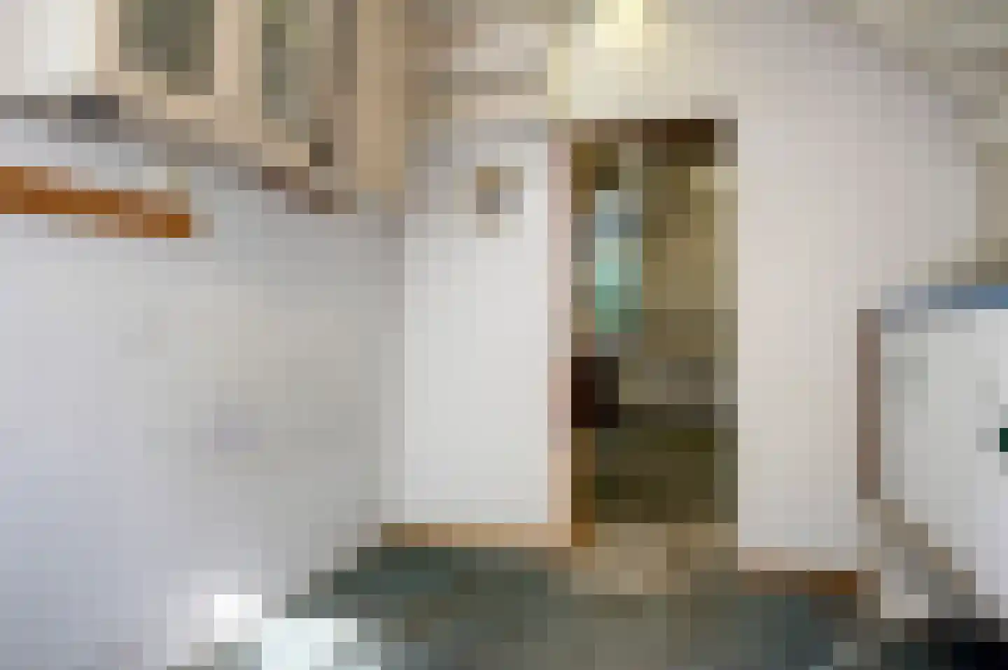 Noordbroeksterstraat 28 Sappemeer thumbnail 37