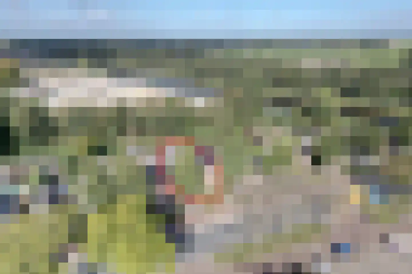 Noordbroeksterstraat 28 Sappemeer thumbnail 7