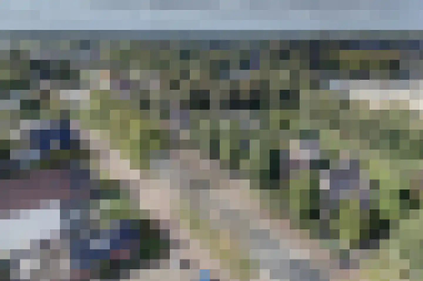 Noordbroeksterstraat 28 Sappemeer thumbnail 8