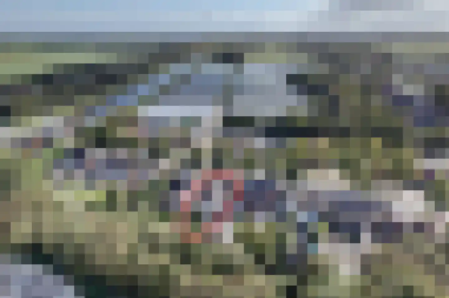 Noordbroeksterstraat 28 Sappemeer thumbnail 9